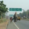Begegnung auf der NH47 bei Marthakkara-Kerala.JPG